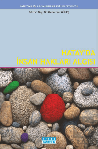 Hatayda İnsan Hakları Algısı