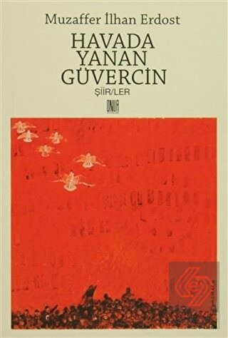 Havada Yanan Güvercin