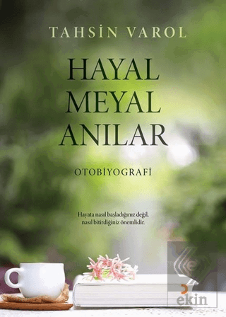 Hayal Meyal Anılar