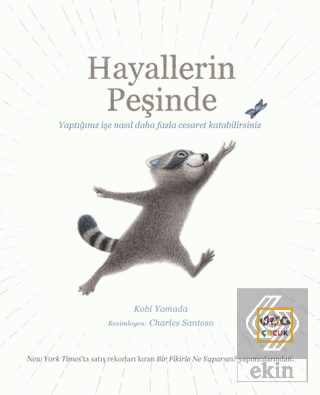 Hayallerin Peşinde