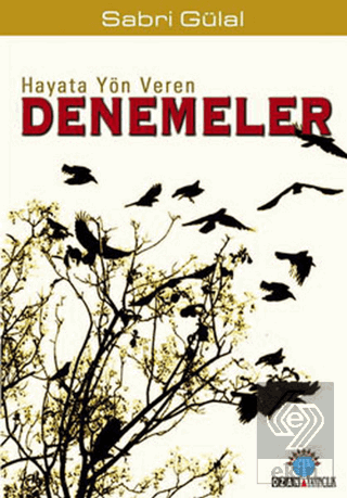 Hayata Yön Veren Denemeler