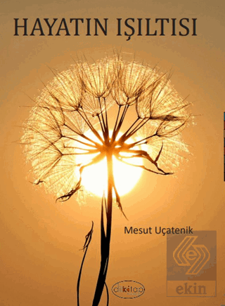 Hayatın Işıltısı