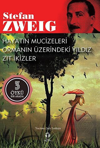 Hayatın Mucizeleri - Ormanın Üzerindeki Yıldız - Z