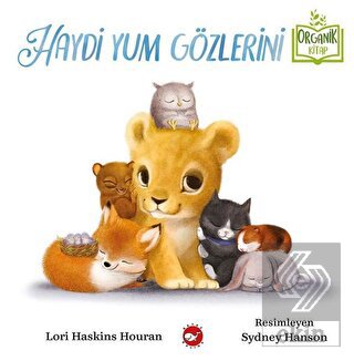 Haydi Yum Gözlerini