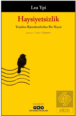 Haysiyetsizlik