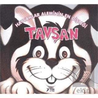 Hayvanlar Aleminin En Dişleği : Tavşan