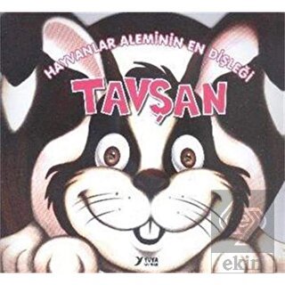 Hayvanlar Aleminin En Dişleği : Tavşan