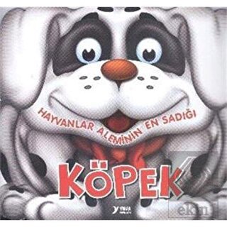 Hayvanlar Aleminin En Sadığı: Köpek