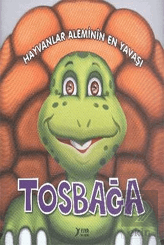Hayvanlar Aleminin En Yavaşı : Tosbağa