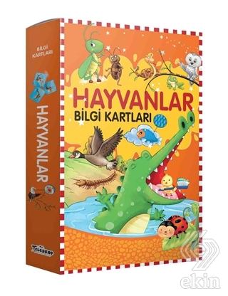 Hayvanlar Bilgi Kartları