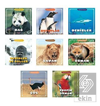 Hayvanlar Dünyası Serisi (8 Kitap Takım)