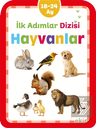 Hayvanlar - İlk Adımlar Dizisi