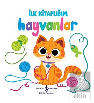 Hayvanlar - İlk Kitaplığım