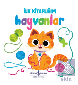 Hayvanlar - İlk Kitaplığım