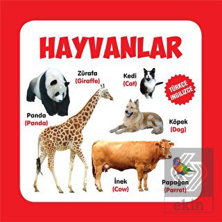 Hayvanlar Türkçe-İngilizce
