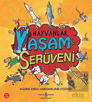 Hayvanlar - Yaşam Serüveni