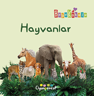 Hayvanlar