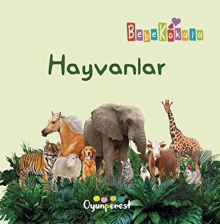 Hayvanlar
