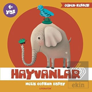 Hayvanlar