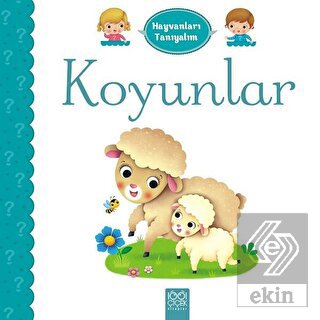 Hayvanları Tanıyalım - Koyunlar