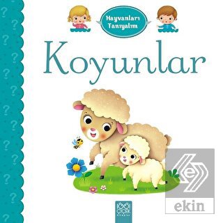 Hayvanları Tanıyalım - Koyunlar
