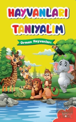 Hayvanları Tanıyalım - Orman Hayvanları
