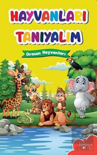 Hayvanları Tanıyalım - Orman Hayvanları