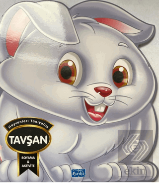 Hayvanları Tanıyalım - Tavşan