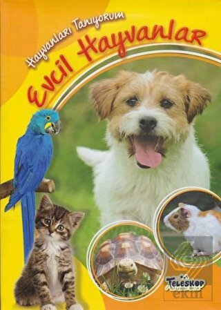 Hayvanları Tanıyorum - Evcil Hayvanlar