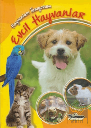 Hayvanları Tanıyorum - Evcil Hayvanlar