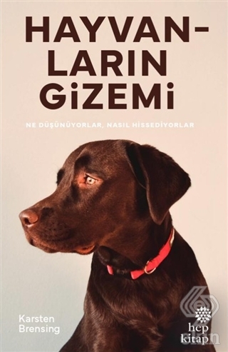 Hayvanların Gizemi
