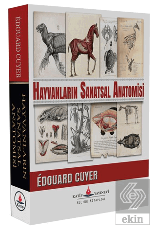 Hayvanların Sanatsal Anatomisi