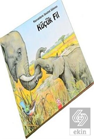 Hayvanların Sevimli Dünyası - Küçük Fil