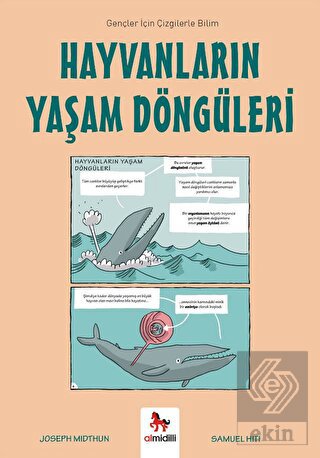 Hayvanların Yaşam Döngüleri