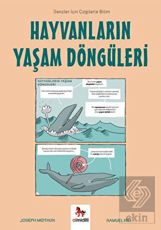 Hayvanların Yaşam Döngüleri