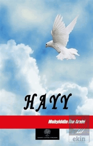 Hayy