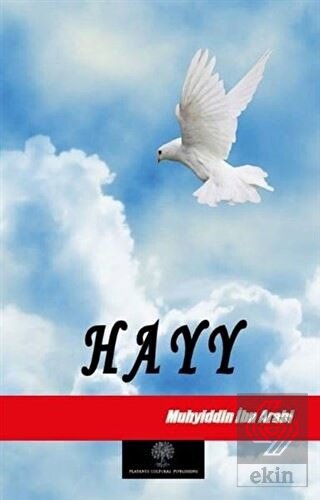 Hayy
