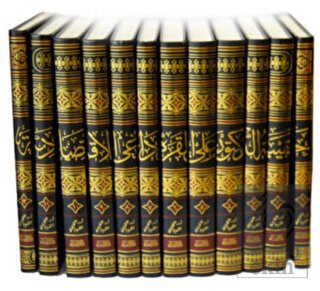 Hekibetü-l Doktor Ali el-Karadaği el-İktisadiyye (