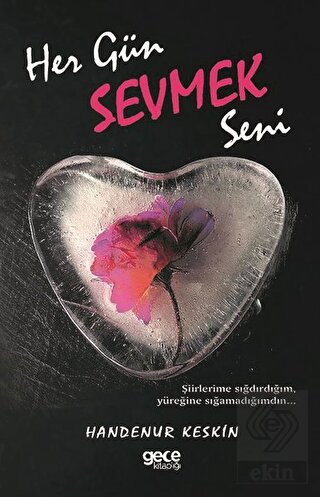 Her Gün Sevmek Seni