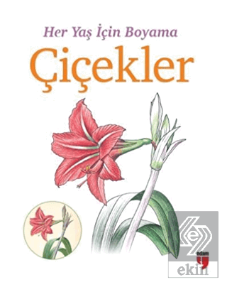 Her Yaş İçin Boyama - Çiçekler