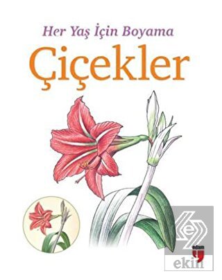 Her Yaş İçin Boyama - Çiçekler