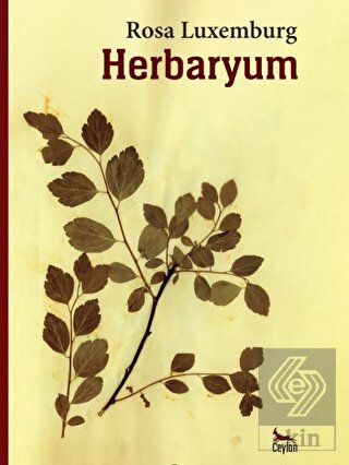 Herbaryum