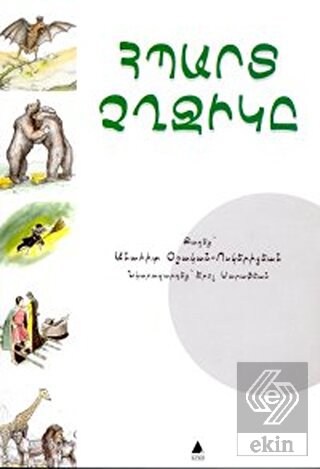 Hıbard Çığçigı