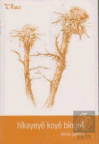 Hikayeye Koye Bingoli