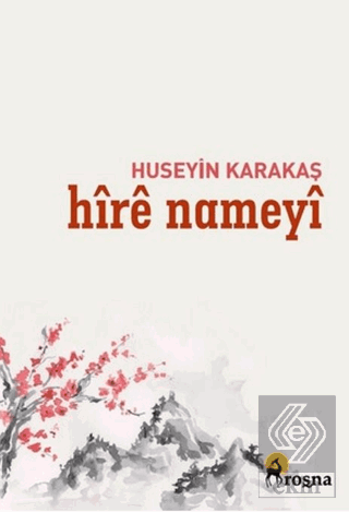 Hire Nameyi