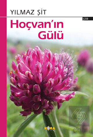 Hoçvan'ın Gülü