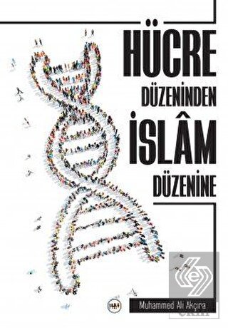 Hücre Düzeninden İslam Düzenine