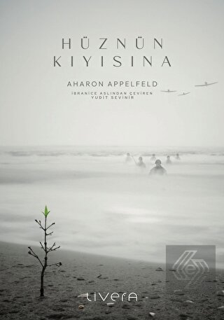 Hüznün Kıyısına