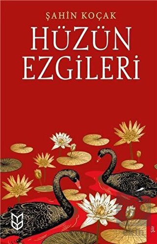 Hüzün Ezgileri