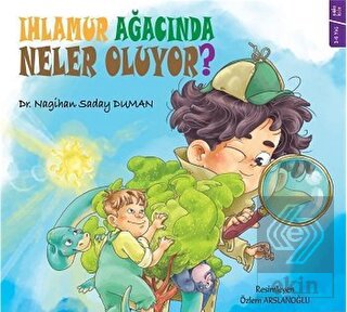Ihlamur Ağacında Neler Oluyor?